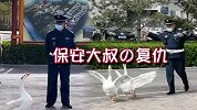 山西高校俩大鹅因“领导式点头”走红 保安大叔终于“报仇”了！