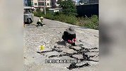 公益修路博主现身上海、山东、浙江补坑！多地市政：不建议私自修