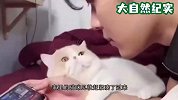 小猫个头比猫妈都大，非要和猫妈一起睡，猫妈全程无奈的表情