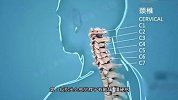 颈椎3大杀手 其中一个致命 颈椎不好的快来看看！