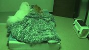猫和狗非要跟主人睡，结果主人都要哭了，看完忍住别笑