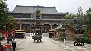 神奇！河南深山古寺发现一棵雌雄树，引游客纷纷围观