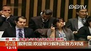 中国驻联合国代表称反对武力解决叙问题