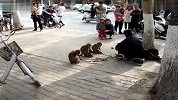 [搞笑]耍猴的超搞笑