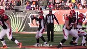 NFL-1415赛季-常规赛-第17周-辛辛那提猛虎vs匹兹堡钢人前瞻-专题