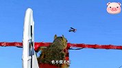小松鼠喜欢坐飞机，主人直接做了个模型，点火后直接飞上天了