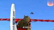 小松鼠喜欢坐飞机，主人直接做了个模型，点火后直接飞上天了