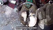 牛蹄内部感染化脓，修脚老师傅一眼就看出病灶，治疗过程太解压！