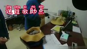 民警将“落难”猫头鹰带走时 听到报警人一句话哭笑不得