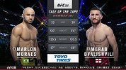 UFC266副赛：马龙-莫拉斯VS梅拉布-德瓦利什维利