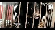 阿里巴巴拯救黑熊公益宣传片—聚划算宣传片