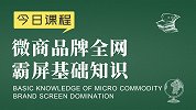 新零售运营胡小胖：微商品牌全网百度霸屏基础知识