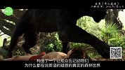 龙斌大话电影－你好！2017（夏）－2016年度院线盘点