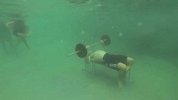 水上项目-14年-男子水下健身锻炼进行举重 闭气持久破世界记录-新闻