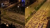 城市封锁后街道被神秘“大军”占领 浩浩荡荡叫声响彻天空