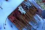 冬天撸串的正确打开方式，雪地吃串串更爽！