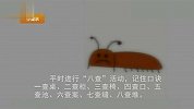生活-如何环保地消灭蟑螂小强