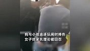 女子遛狗没牵绳，狗被男孩从高处摔伤，与家长理论遭怼：他杀了就杀了