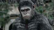 6分钟告诉你《猩球崛起》里凯撒的童年遭遇