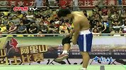 格斗-14年-2014武夷山阿里山海峡两岸脚斗士高手对决-专题