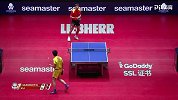 ITTF奥地利公开赛男单1/4决赛 许昕4-2张本智和