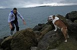 吃饭睡觉遛Rocco！汤普森与自家爱犬的日常
