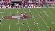 NFL-1516赛季-常规赛-第15周-旧金山49人14:24辛辛那提猛虎-精华