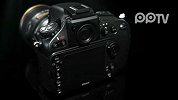 Nikon D800现真身