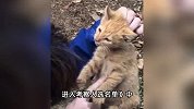 虐猫男子考上事业编？官方：当事人不符合招聘条件，取消其资格