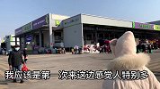 留在宁波过年，看看买了什么年货，都有那些菜和肉
