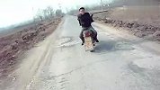 牛人啊！男子这样倒骑摩托车