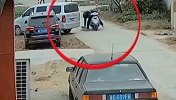 黑心！为卖狗肉火锅 饭店老板2小时毒死8条狗