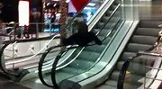 搞笑-20120308-电梯扶手的最牛用法