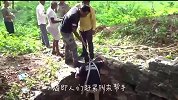 人们发现废弃水井里有东西在动，走近一看赶紧叫来帮手！