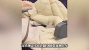高铁座椅上，突然出现一只宠物鼠在蠕动，12306：不允许！