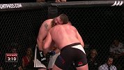 UFC-15年-UFC Fight Night 75：重量级巴内特vs内尔森-全场