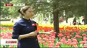 北京新闻-20120417-京城处处花海，春光人人共享