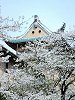 记住武汉
