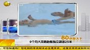 生活-英国惊现“游泳天才” 9月大双胞胎能游25米 - 英国惊现“游泳天才” 9月大双胞胎能游泳