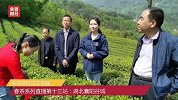 直播：茶也分性格，你喜欢“霸气”型还是“含蓄”型？
