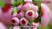 粉色蓝莓一颗难求，店主：现货极少，都在找货源