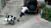 帅！眼看小孩要被车撞到 危急时刻男子一个动作救下
