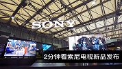 百万可以买两台，2分钟带你了解AWE索尼新品交流会