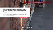 小猫为避开湿水泥地大秀“三脚猫功夫”，留下一串梅花脚印，网友评论太扎心