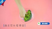 7种食材保鲜秘籍【夹脑计划】