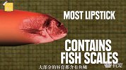 13个奇怪的冷姿势，大部分的唇膏里都含有鱼鳞！