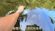 测试鹅和鸭子的潜水速度，在水面狂奔