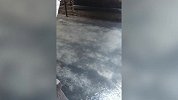 意大利游客骤减 威尼斯河道变清海豚回归