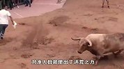 几十个大男人合力欺负一头牛，这牛要是没了，铁定是被气死的！