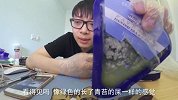 C10丹麦蓝纹奶酪初体验